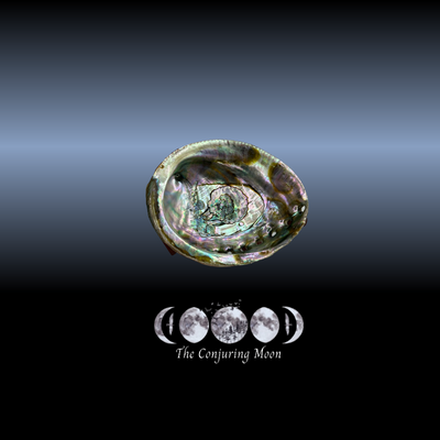 Abalone Shell (No Stand) **SOLD OUT**