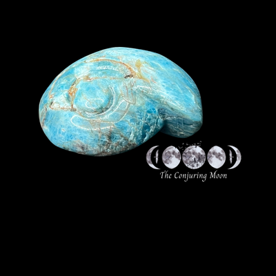 Ammonite - Blue Apatite Small **SOLD OUT**