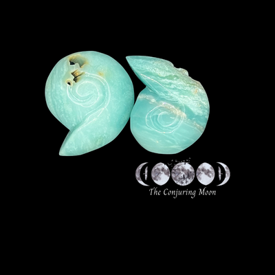Ammonite - Carribean Calcite Medium *LOW STOCK ALERT*