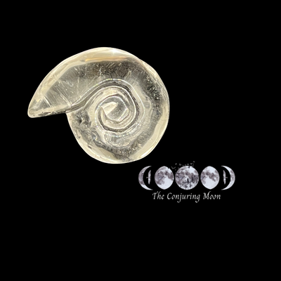 Ammonite - Clear Quartz Medium *LOW STOCK ALERT*
