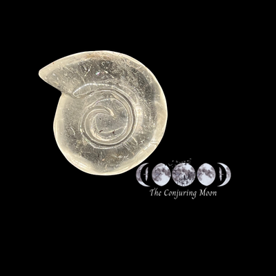 Ammonite - Clear Quartz X Large **SOLD OUT**