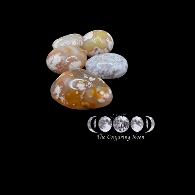Palm Stone - Flower Agate