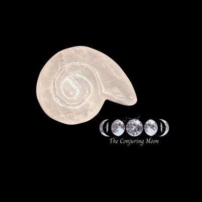 Ammonite - Rose Quartz Small **SOLD OUT**